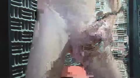 Snapshot of aussieraz chatting on 16, 12, 2024 aussieraz online show from 16, 12, 2024