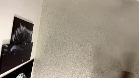 Lily  Orion online show from 5, 2, 2025