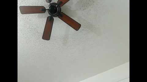 Lily  Orion online show from 13, 2, 2025