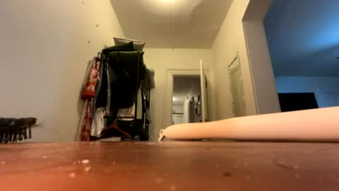 avallanchee online show from 19, 6, 2026