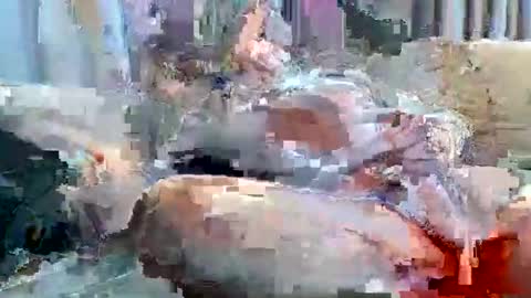 averagejoe2025 online show from 18, 11, 2025