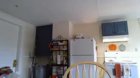 Snapshot of babiifern chatting on 14, 10, 2025 Fern Browning online show from 14, 10, 2025