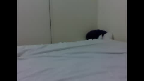 Snapshot of baby_lucky35865 chatting on 26, 4, 2026 needoh online show from 26, 4, 2026