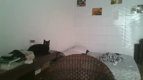 Snapshot of babydemon6 chatting on 14, 11, 2025 babydemon6 online show from 14, 11, 2025