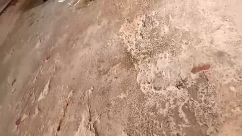 Megan online show from 2, 10, 2025