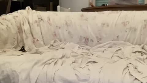 Snapshot of bach77 chatting on 12, 2, 2025 bach online show from 12, 2, 2025