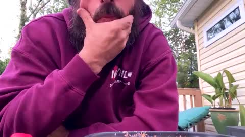 backcheck97 online show from 13, 9, 2025