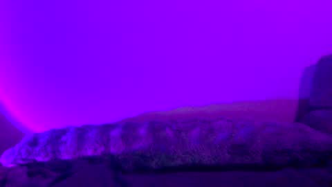 Snapshot of baddiejess618433 chatting on 30, 12, 2024 baddiejess618433 online show from 30, 12, 2024