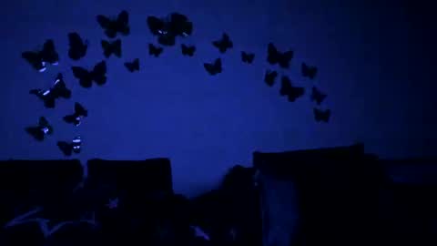 Snapshot of badgg chatting on 12, 2, 2025 Gina online show from 12, 2, 2025