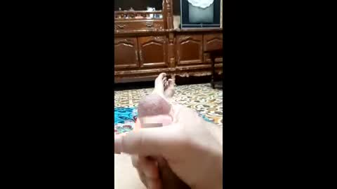 bahaa5555 online show from 12, 2, 2026