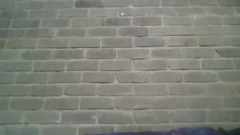 Snapshot of baielekker81578 chatting on 5, 1, 2025 Chaterlain online show from 5, 1, 2025