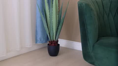 bailey_rush online show from 3, 12, 2025