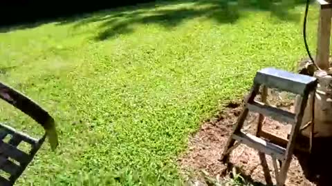 ballshanginglowaf online show from 19, 9, 2025