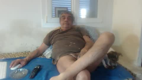 Snapshot of bambino6060 chatting on 15, 11, 2025 bambino6060 online show from 15, 11, 2025