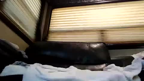 baobabtree8 online show from 26, 2, 2025