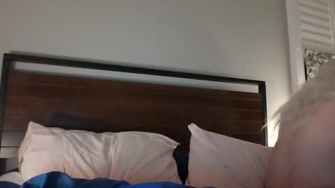 Snapshot of bawblejam chatting on 14, 12, 2024 BjBambi online show from 14, 12, 2024