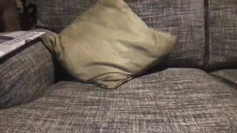 baykiwi54 online show from 17, 12, 2024