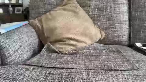 Snapshot of baykiwi54 chatting on 11, 2, 2026 baykiwi54 online show from 11, 2, 2026