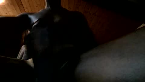 Snapshot of bbc4bearsndaddies chatting on 2, 6, 2026 Ferdinandooo online show from 2, 6, 2026