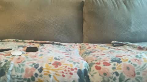 Snapshot of bbcfun44 chatting on 30, 1, 2025 Zaddy online show from 30, 1, 2025