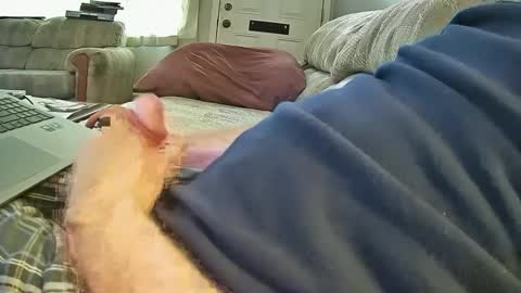 bcema2 online show from 8, 10, 2025