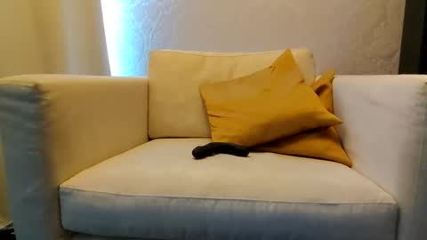 bd online show from 9, 2, 2026