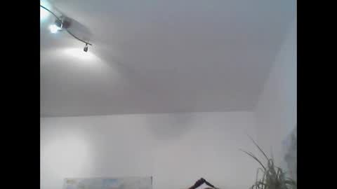 bear14250949 online show from 2, 11, 2025