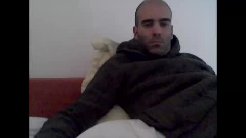 bear14250949 online show from 23, 11, 2025