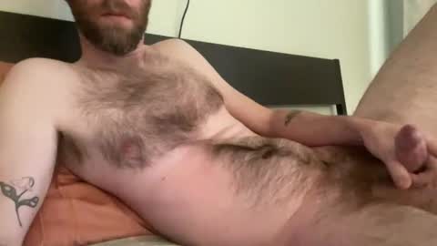 Snapshot of beardedchester chatting on 9, 12, 2024 beardedchester online show from 9, 12, 2024