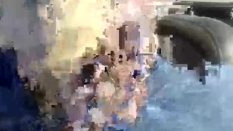 Snapshot of beardhard247 chatting on 15, 11, 2025 beardhard247 online show from 15, 11, 2025