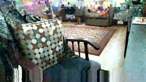 beardie89 online show from 12, 1, 2026