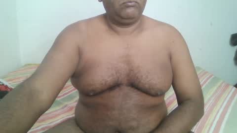 Grizzly   online show from 5, 12, 2024