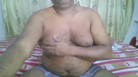 Grizzly   online show from 12, 1, 2025