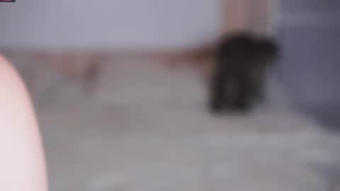 Beatrice online show from 7, 11, 2025