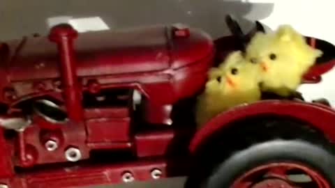 Raluca online show from 27, 9, 2025