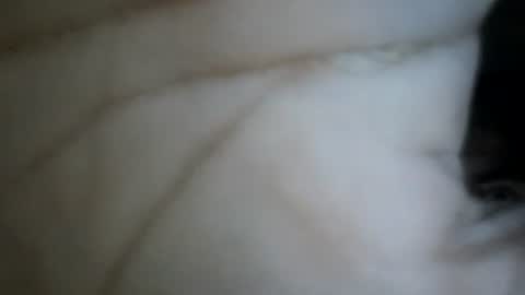 Snapshot of bebosaya93 chatting on 17, 12, 2025 bebosaya93 online show from 17, 12, 2025