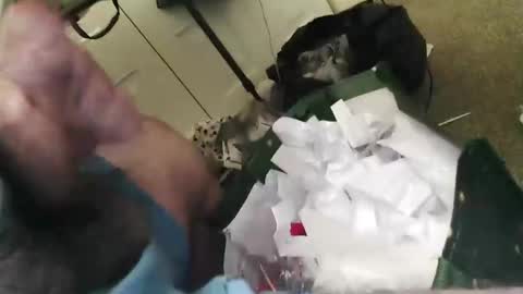 beenallover92 online show from 22, 1, 2025