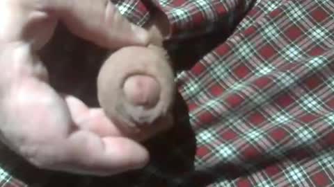  Reservoir Dogs online show from 28, 12, 2024