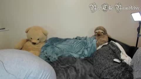 Snapshot of beethebumblebee chatting on 24, 2, 2026 Bee online show from 24, 2, 2026