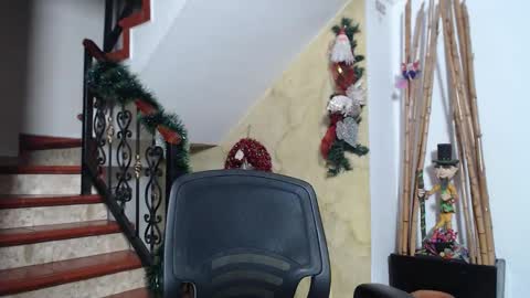 Snapshot of belamiramil chatting on 29, 11, 2025 independent model online show from 29, 11, 2025