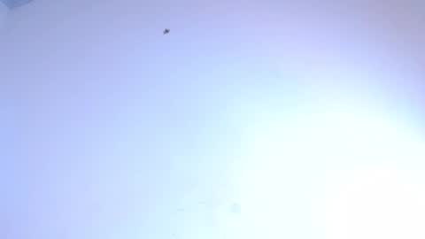 Snapshot of bella_adara1 chatting on 8, 2, 2025 CAMILA online show from 8, 2, 2025