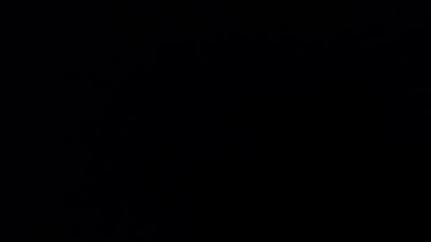 Bella online show from 3, 12, 2025