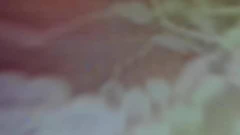 Snapshot of bellaporchxxx chatting on 26, 2, 2025 Bella Porch online show from 26, 2, 2025