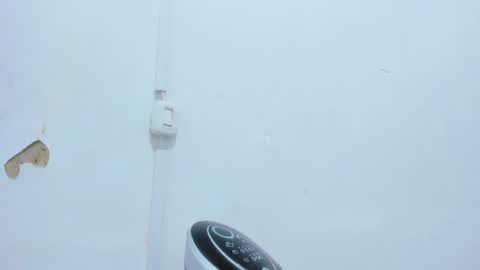 Bellota Flak online show from 14, 12, 2024