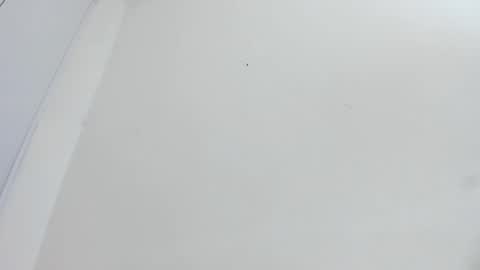 Bellota Flak online show from 15, 12, 2025