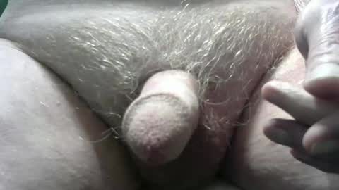 Snapshot of bender41 chatting on 18, 2, 2025 bender41 online show from 18, 2, 2025