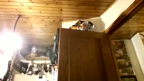 bernichaos77 online show from 21, 2, 2026