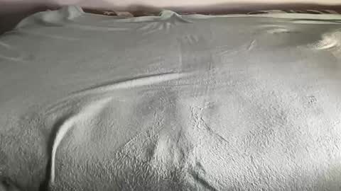 BEST online show from 11, 1, 2026