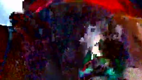 Bethany Wilson online show from 14, 2, 2026