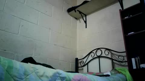 bichopeludo online show from 6, 10, 2025